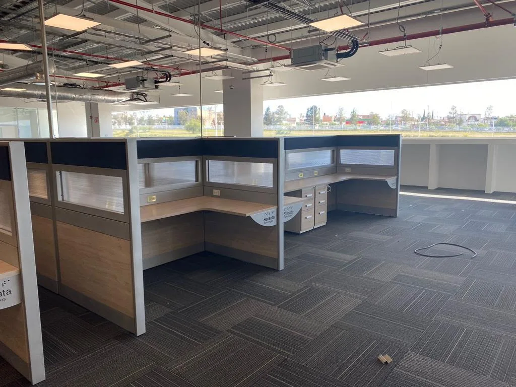 Piso completo de estaciones de trabajo con mamparas azules junto al ventanal